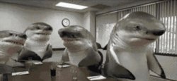 sharks Meme Template