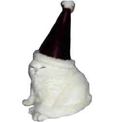 Party Hat Cat Meme Template