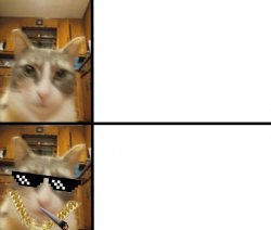 Cat hotline bling Meme Template