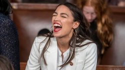 aoc Braying donkey-style Meme Template