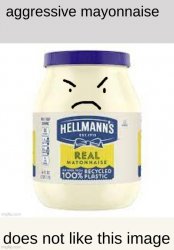 aggressive mayonnaise Meme Template