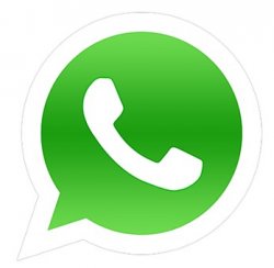 whatsapp logo Meme Template