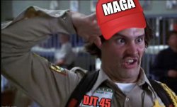 Doofy MAGA Meme Template