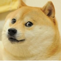 Doge Meme Template