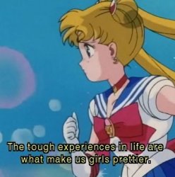 Sailor Moon the tough experiences in life Meme Template