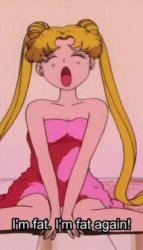 Sailor Moon I’m fat Meme Template