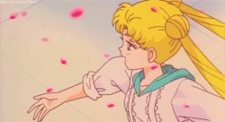 Sailor Moon Cherry blossoms Meme Template