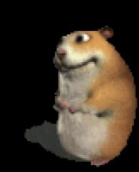 Hamster Meme Template