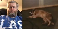 Andrew Taylor now Andrew the Dog Meme Template