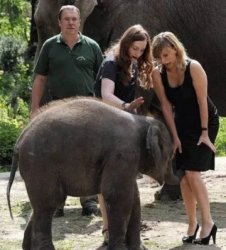 i wish Meme Template