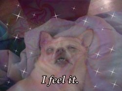 feel it Meme Template