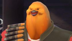 pootis Meme Template