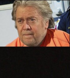 Steve Bannon Meme Template