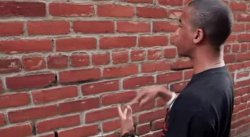 man talking to brick wall Meme Template