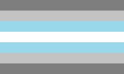 Demiboy flag Meme Template