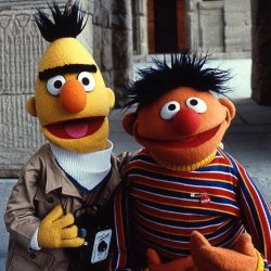 Bert and Ernie Meme Template