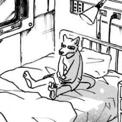 Beastars fox Meme Template