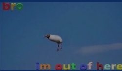 bro im out of here Meme Template