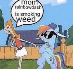 Rainbowdash is smoking weed Meme Template
