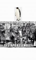 Penguin Meme Template
