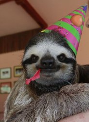 birthday sloth Meme Template