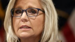 Liz Cheney Meme Template