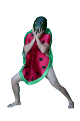 Watermelon Frodo Meme Template