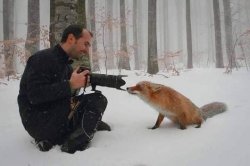 Photographer Meets Fox Meme Template