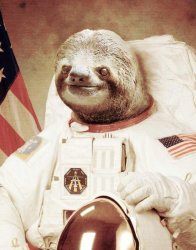 Astro-Sloth Meme Template