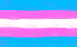 transgender flag Meme Template