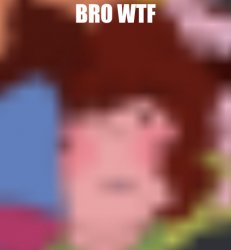 chara bro wtf Meme Template