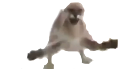 Transparent Floppa Meme Template