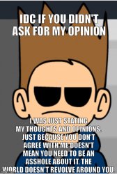 Idc if you didn't ask for my opinion Meme Template