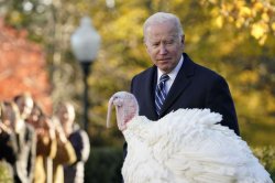 Introspective Joe Biden and Instrospective Turkey Meme Template