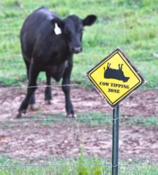cow tipping zone Meme Template