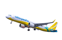 Cebu pacific A320neo Meme Template