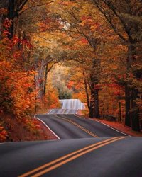 New Hampshire in Autumn Meme Template