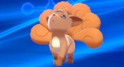 vulpix looking up Meme Template