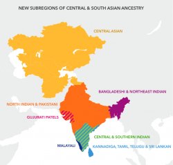Central and South Asian ancestry Meme Template