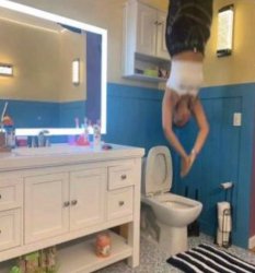 Girl Jumping in Toilet Meme Template