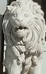 disgusted lion Meme Template