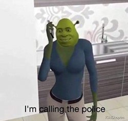 Shrek Mom calling the police Meme Template
