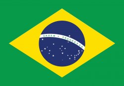 Brazil flag Meme Template