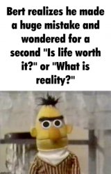 Bert makes a huge mistake Meme Template