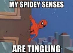 My Spidey Senses Are Tingling Meme Template