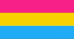 Pansexual flag Meme Template