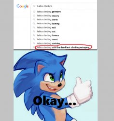 Sonic Meme Template