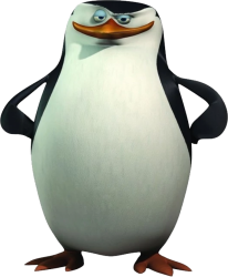 Skipper Penguin Meme Template