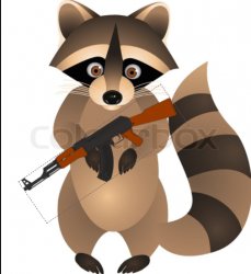 the russian raccoon Meme Template