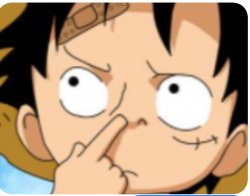 Luffy nose man Meme Template